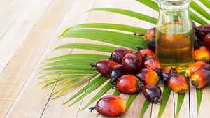 Palm oil Benefits in Biovibez Soapery and More Hamilton products